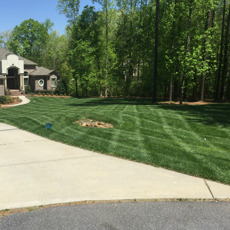 Gallery | Bio Green Fertilization Redefined™ | Bio Green® Lawn Care