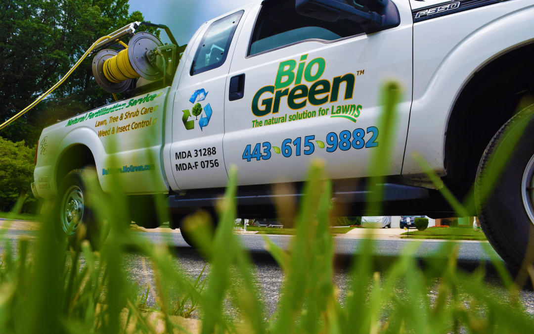 Bio Green USA Inc Bio Green® Lawn Care Services Nationwide 18772462406