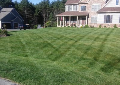 Bio Green® Healthy Lawns