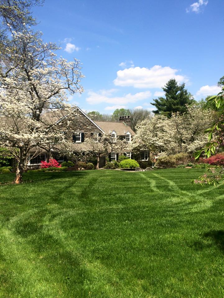 Gallery Bio Green Fertilization Redefined™ Bio Green® Lawn Care