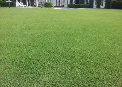 Best Lawns